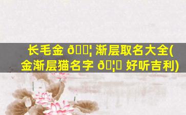 长毛金 🐦 渐层取名大全(金渐层猫名字 🦊 好听吉利)